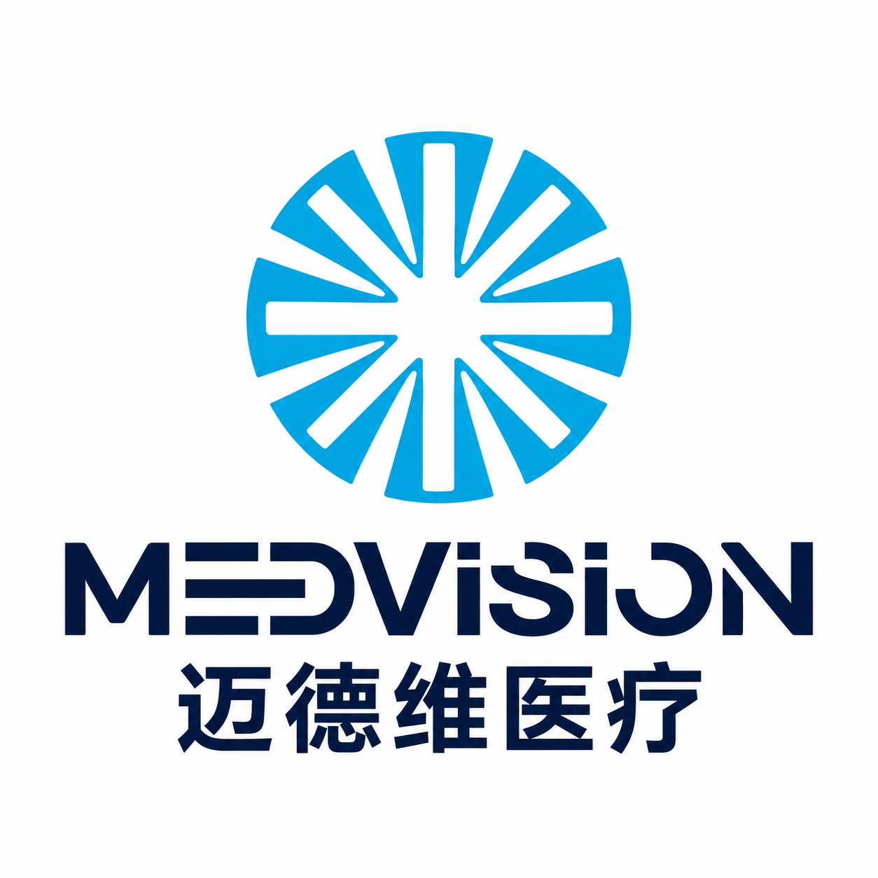 迈德维医疗 MEDVISION